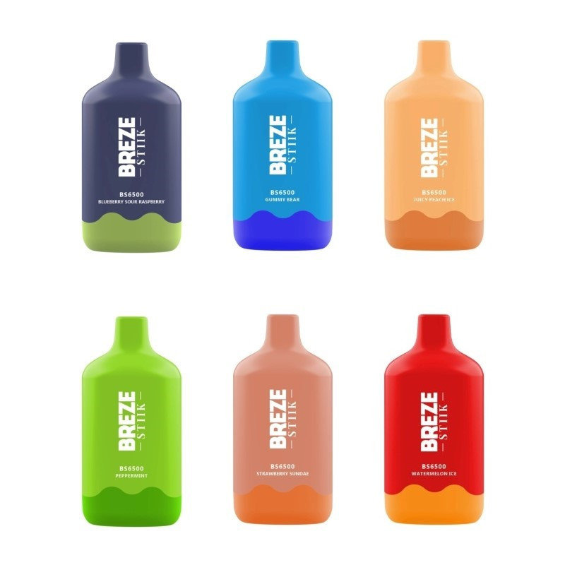 buy breze stiik bs6500 buy breze stiik bs6500